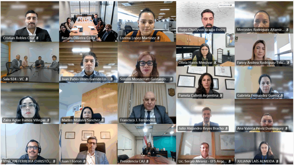 Reunión Extraordinaria del Consejo Directivo