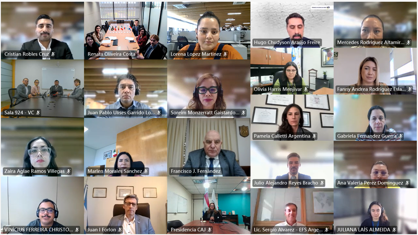 Reunión Extraordinaria del Consejo Directivo